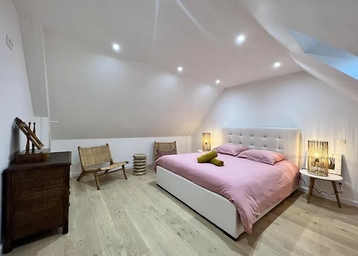 La Maison Du Donjon - Visite Guidee - Reve Au Mans